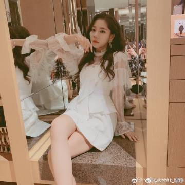 顿涅茨克地区：农场工人收割青贮玉米